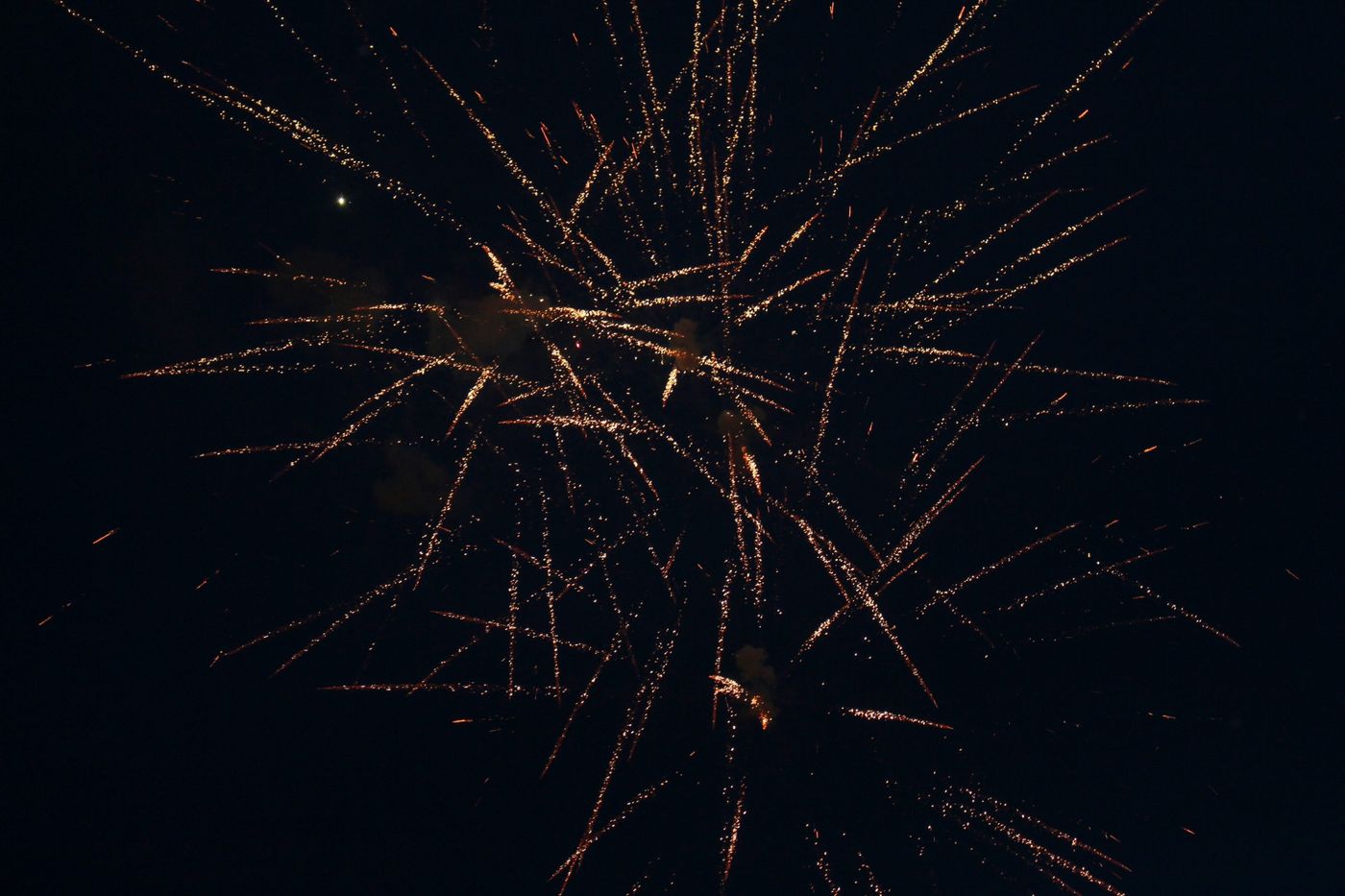 Fireworks in the night sky